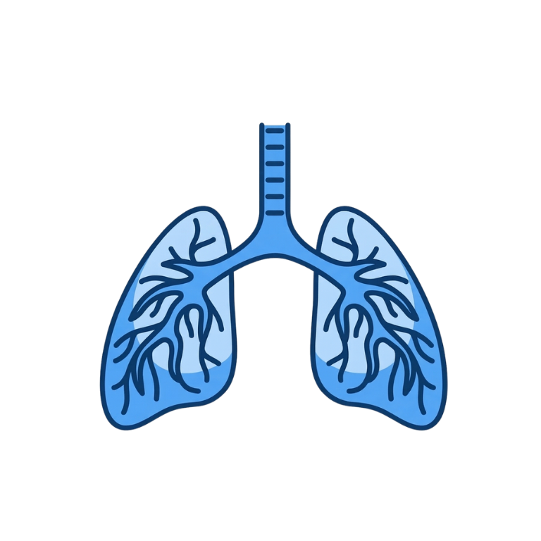 Pleural effusion diagnosis and treatment